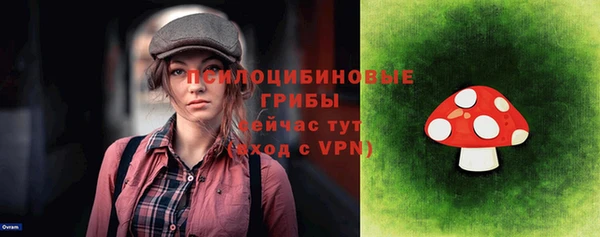 гашик Алексеевка