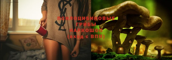 гашик Алексеевка