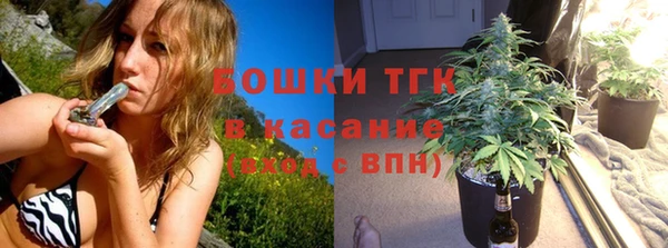 дмт Алзамай
