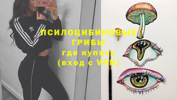 дмт Алзамай