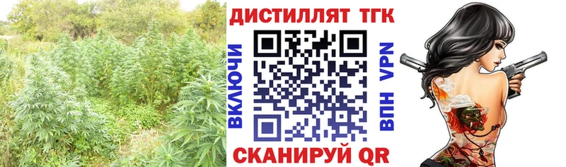 MEGA ONION  закладка  Тогучин  ТГК вейп 